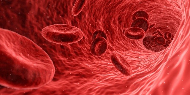 血管を流れる赤血球のイメージ